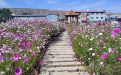 扒开粉嫩小泬舌头伸进去视频